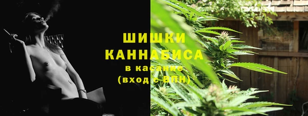 прущие грибы Новокубанск