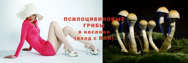 МДПВ Абаза