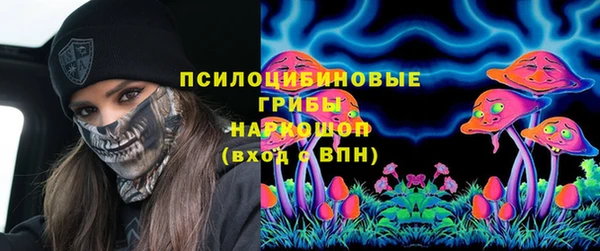 МДПВ Абаза